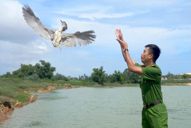 Authorities release trapped birds back into the wild. Photo: Quang Binh Forest Rangers