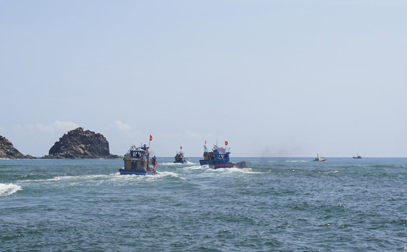 Fishing boats of fishermen from Binh Dinh go out to sea to catch seafood. Photo: Hoai Luan