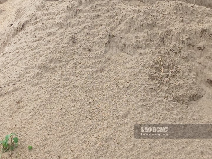 Three sand mines located on Tien River and Ham Luong River in Ben Tre province were auctioned on October 24, with a total amount of more than 488 billion VND.