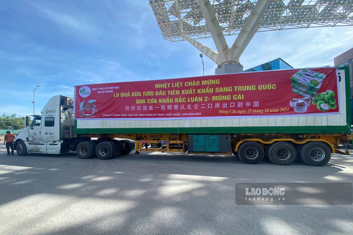 The shipment includes 2,430 packages with 21,870 fresh coconuts, total weight 23.5 tons exported to China via Bac Luan 2 Bridge Border Gate, Mong Cai City, Quang Ninh Province. Photo: Doan Hung