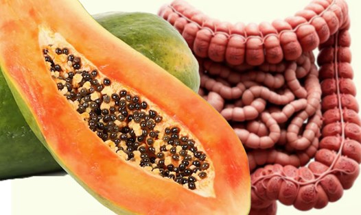 Hạt đu đủ chứa nhiều loại hóa chất giúp loại bỏ ký sinh trùng đang ẩn nấp ở trong cơ thể. Đồ hoạ: Thiện Nhân