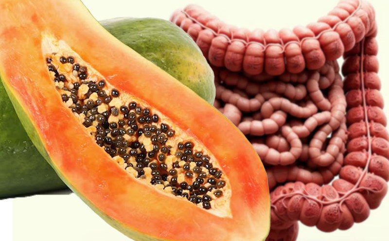 Papaya seeds contain many chemicals that help eliminate parasites hiding in the body. Graphics: Thien Nhan