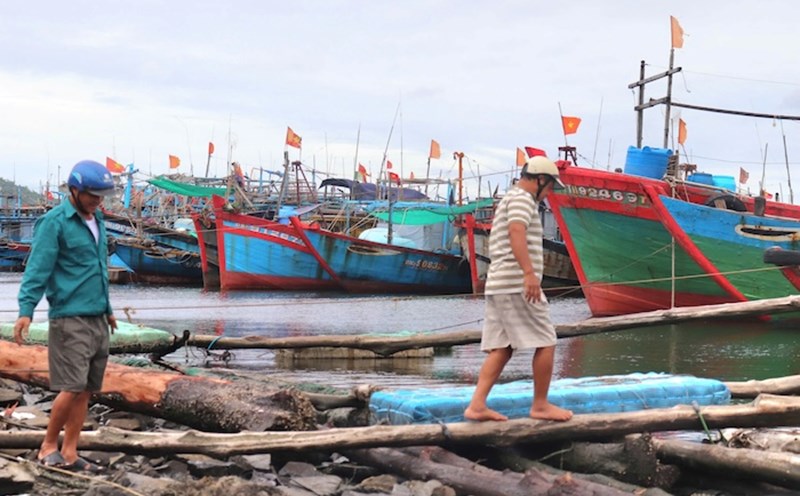 Da Nang still has 40 workers working at sea. Photo: Nguyen Linh
