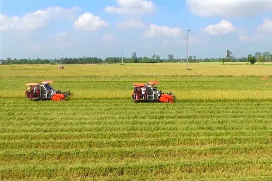 Agricultural land affected by planning may have its land use rights restricted. Photo: P.H