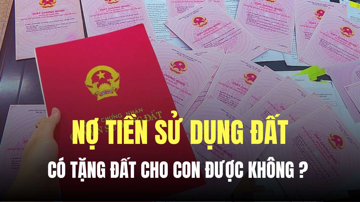 Hộ gia đình, cá nhân không trực tiếp sản xuất nông nghiệp không được nhận chuyển nhượng, nhận tặng cho quyền sử dụng đất trồng lúa. Đồ họa: Minh Thương
