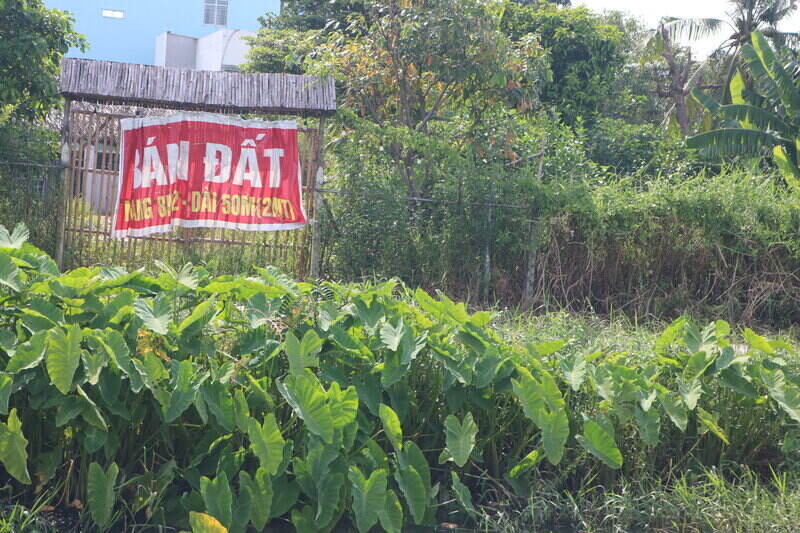 Nhieu khu dat rao ban nhieu thang qua nhung khong co nguoi mua. Anh: Huan Cao