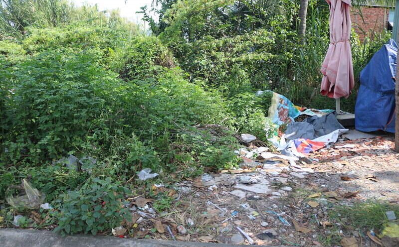 Many agricultural lands in the outskirts of Ho Chi Minh City have seen sharp price drops. Photo: Huan Cao
