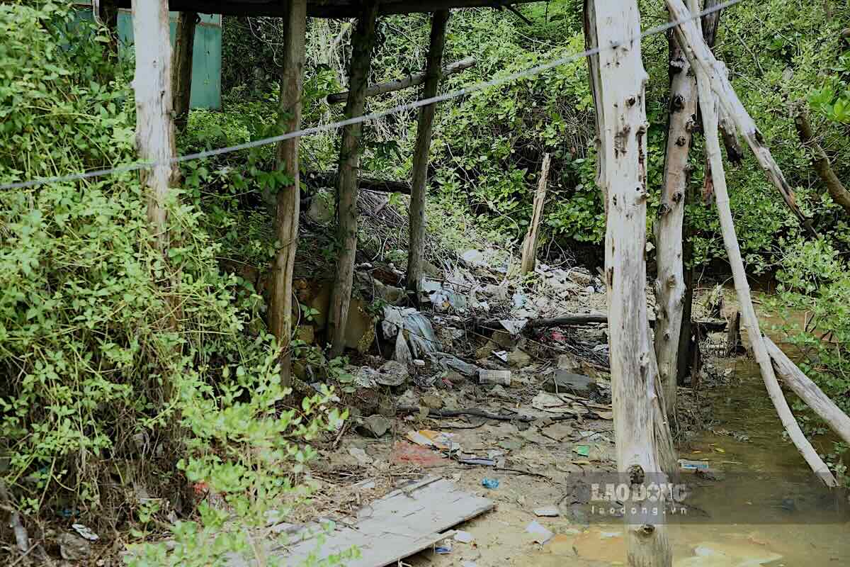 Land of people in Quang Tung commune was swallowed by the "river god". Photo: Cong Sang