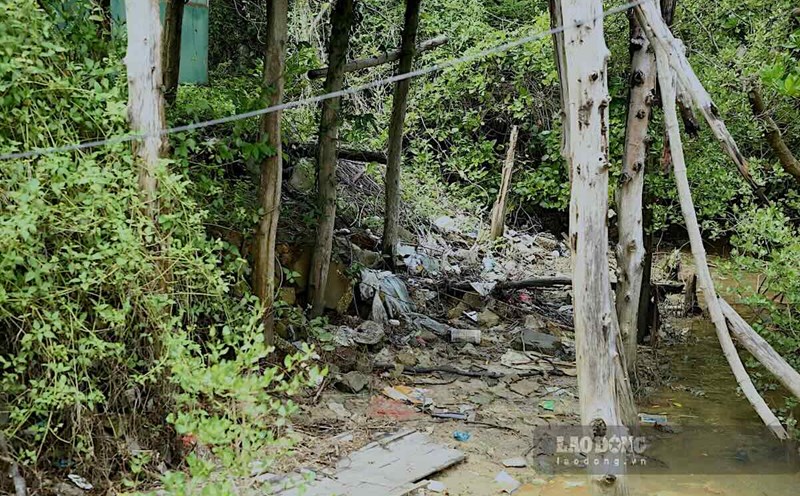 Land of people in Quang Tung commune was swallowed by the "river god". Photo: Cong Sang