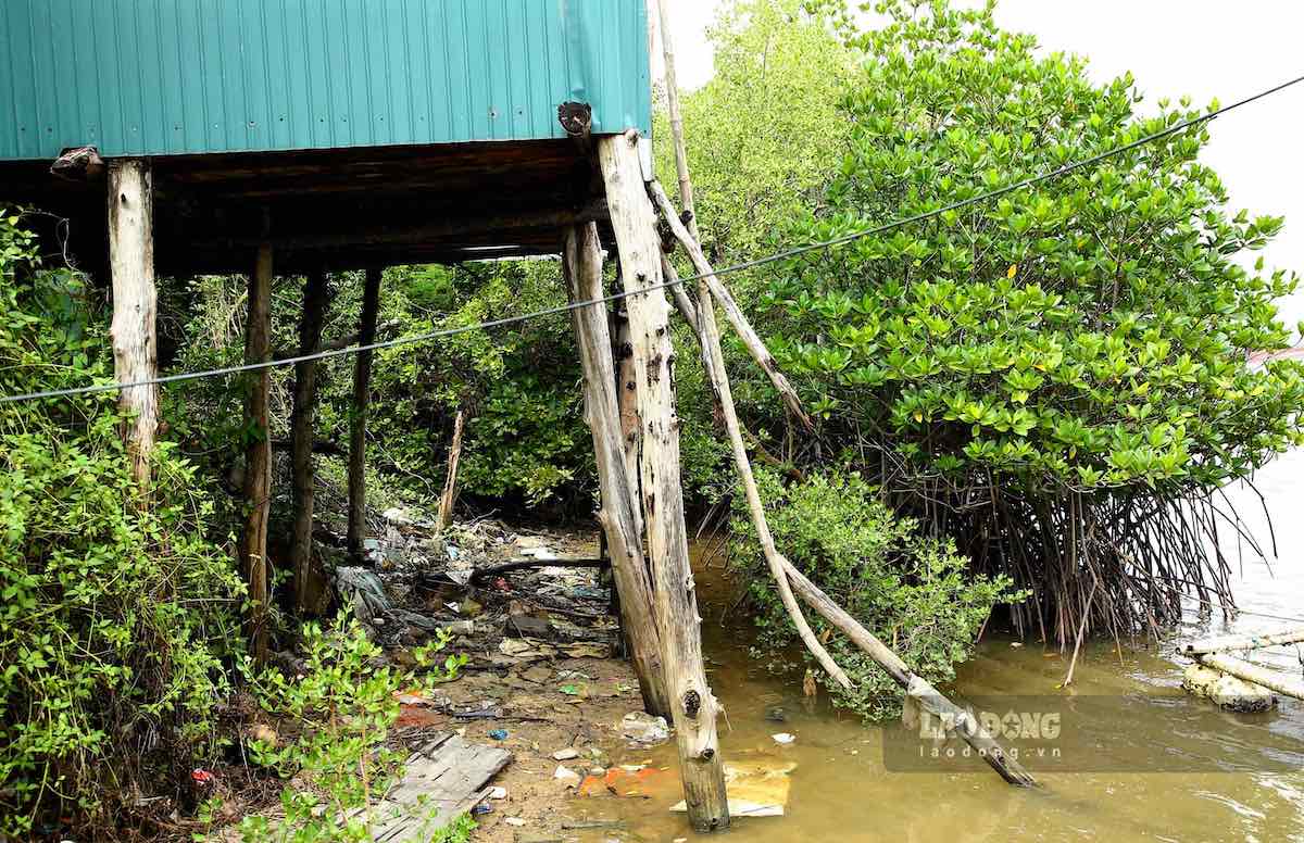 Song “nuot chung” den cac cong trinh, vuon tuoc. Anh: Cong Sang 