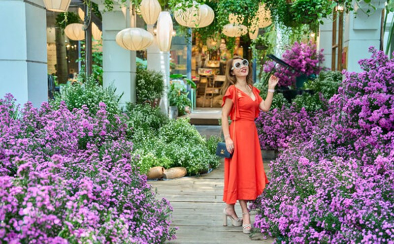 The heather flower road in the middle of the capital is bustling with people checking in