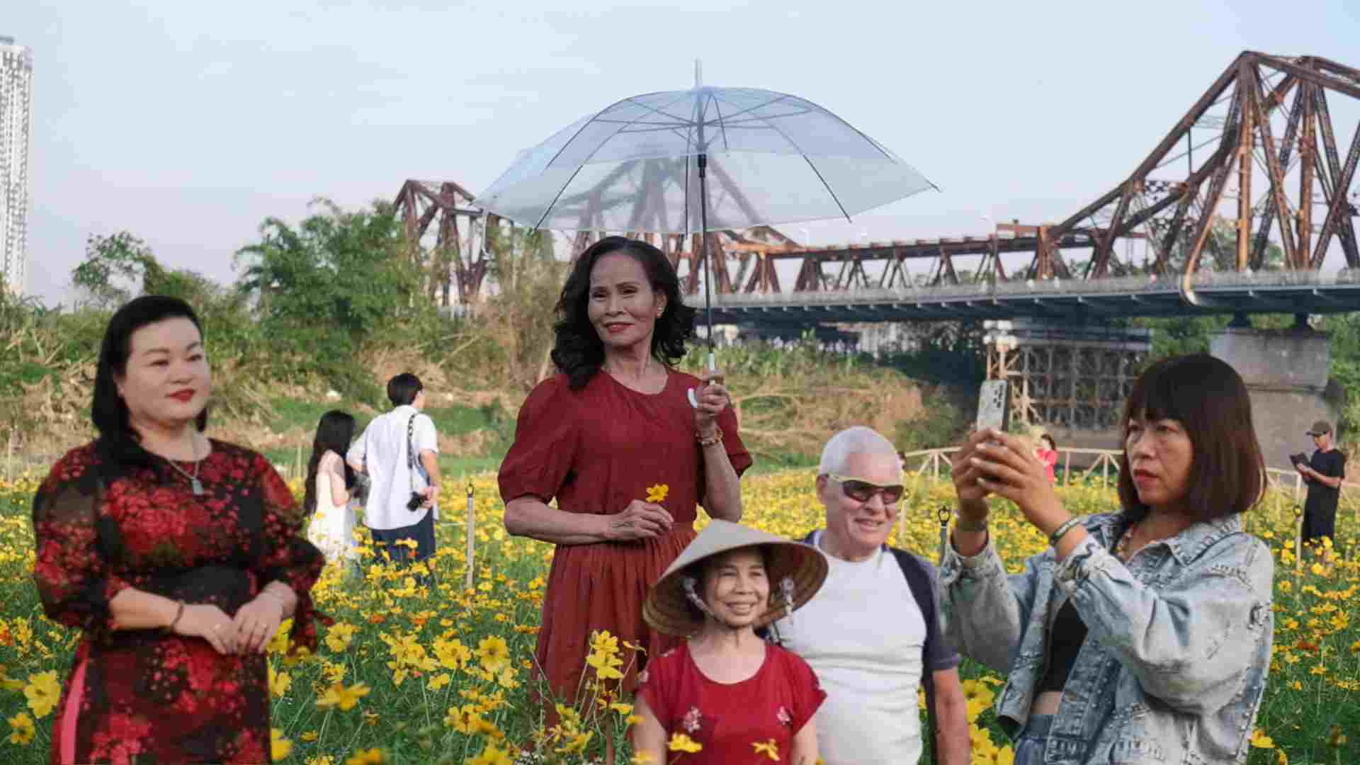 Unexpected "forest" of colorful chrysanthemums and butterflies under Long Bien bridge