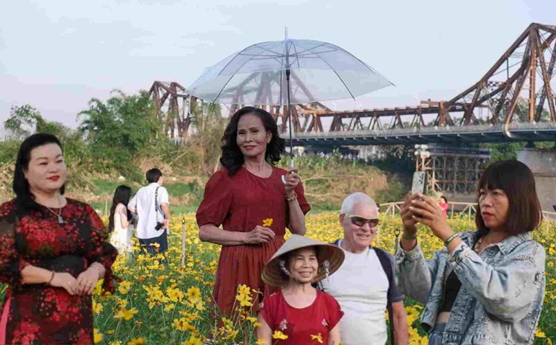 Unexpected "forest" of colorful chrysanthemums and butterflies under Long Bien bridge