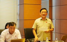 Từ vụ ông Thích Chân Quang: các tiến sĩ rởm đang ở đâu?