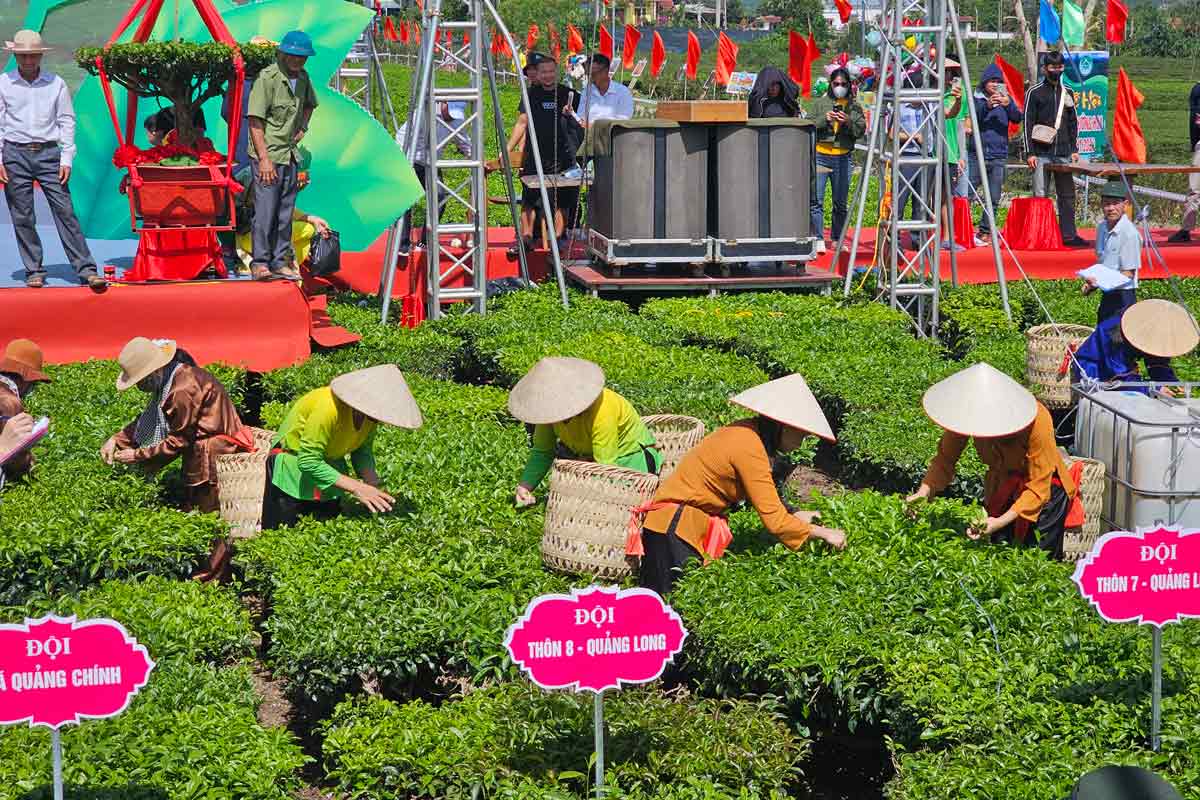 Tea picking competition in village 8, Quang Long commune, Hai Ha district - the cradle of the tea region of Quang Ninh province. Photo: Doan Hung