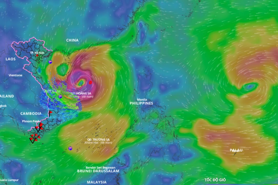 Updated location of storm Tra Mi at 11am on October 26. Photo: Vietnam Disaster Monitoring System