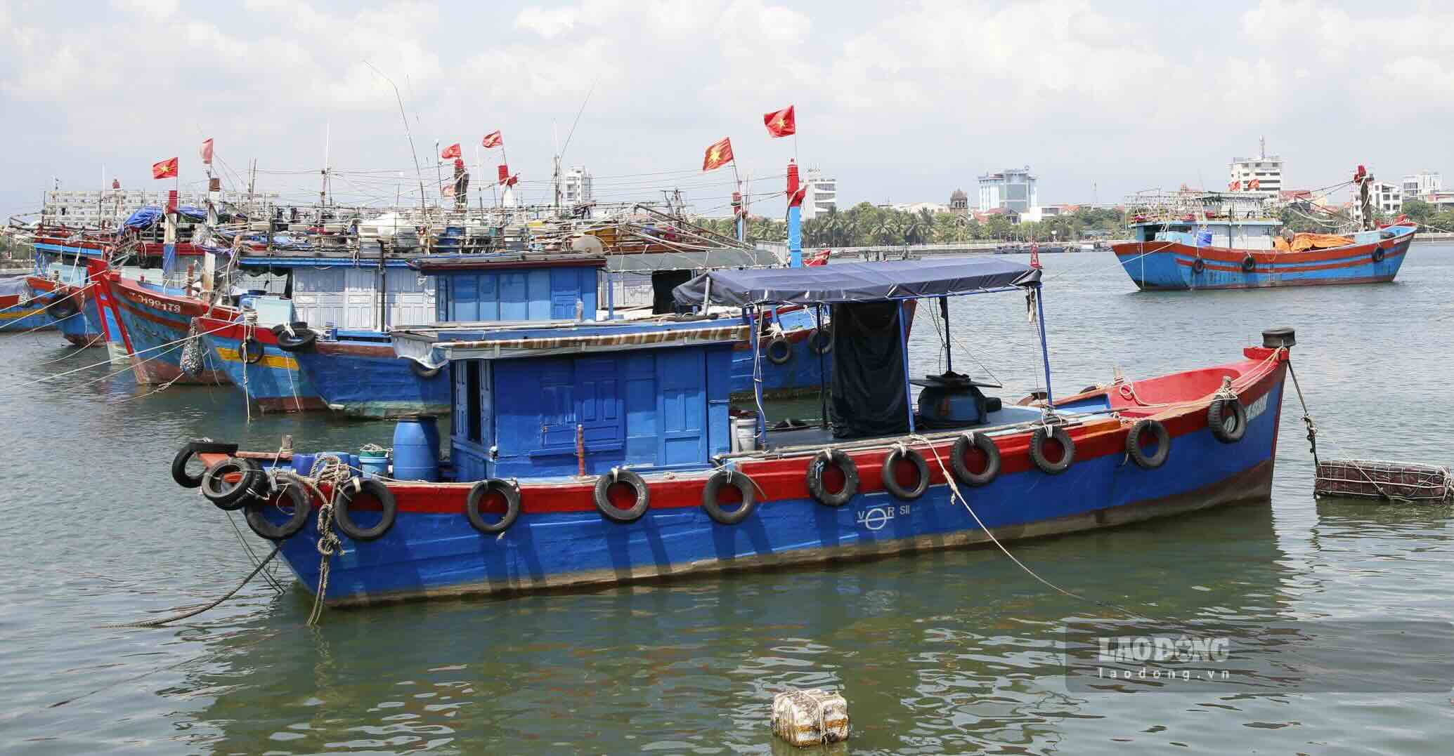 Quang Binh fishing boats have now left the danger zone of storm Tra Mi. Photo: Cong Sang