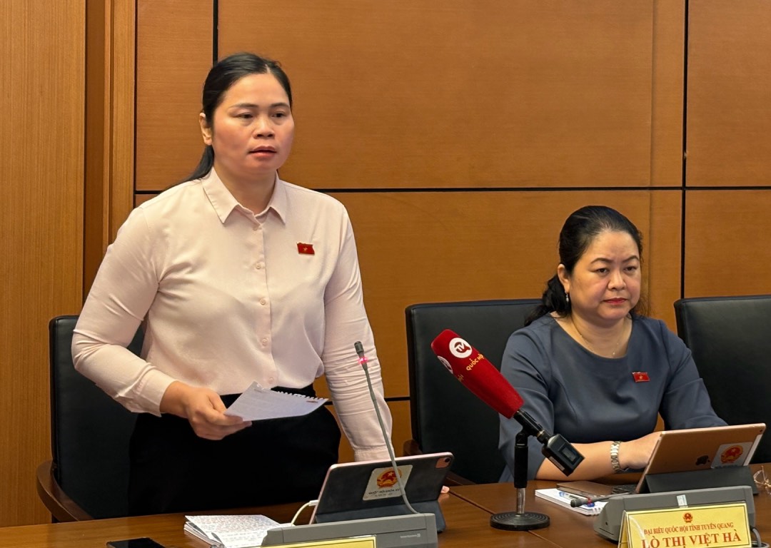 Delegate Ma Thi Thuy (Tuyen Quang Delegation) proposed to promptly resolve the social insurance regime in 2024 for business household owners. Photo: Bao Han
