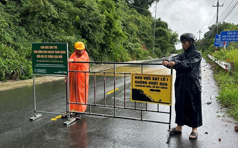 Da Nang bans vehicles from circulating on Son Tra peninsula to focus on responding to storm Tra Mi. Illustration photo: Thanh Hai