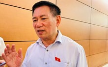 Temu nằm trong diện phải nộp thuế như Google, Facebook