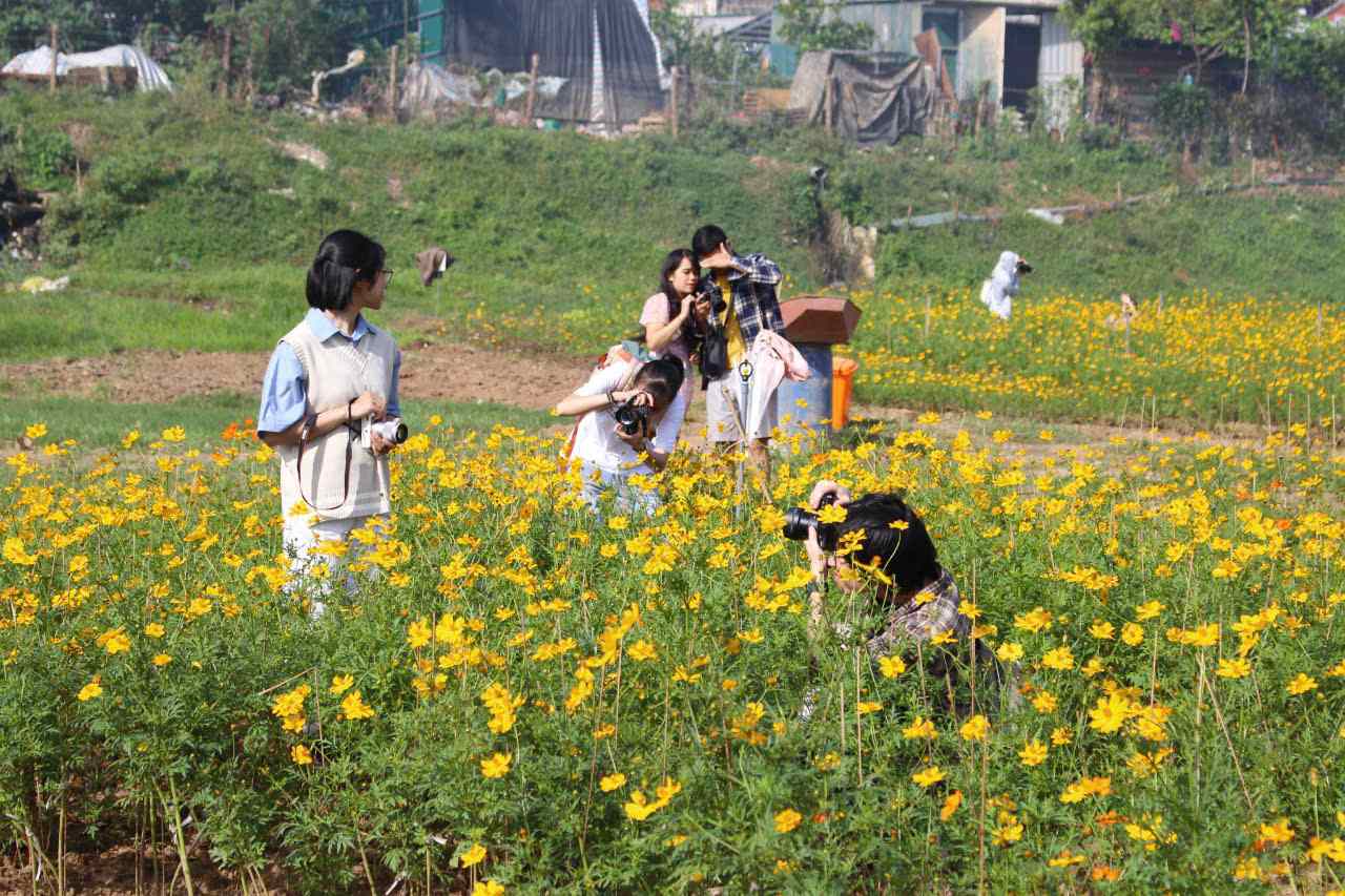 Sac hoa binh di, pha chut tho mong, nhe nhang voi anh nang trong veo cuoi thu giup  chi em phu nu co duoc cho minh nhieu tam anh dep.