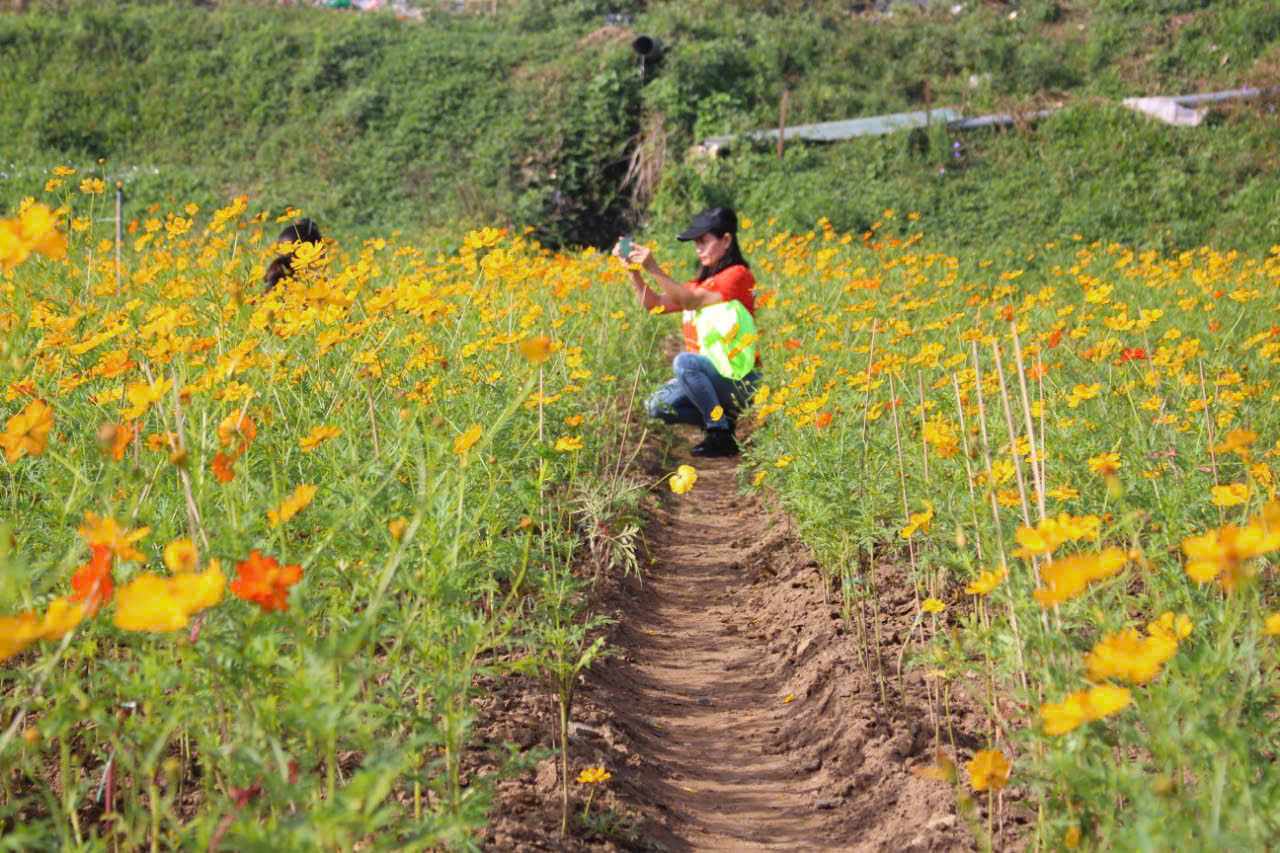 Sang som hoac chieu muon trong ngay la thoi diem thich hop de nguoi dan toi vuon hoa chup anh. Ve duong di, vuon hoa nam o ven song Hong, de thuan tien di chuyen, du khach co the toi ngo 124 phuong Phuc Xa (quan Ba Dinh), cach bai do xe vuon hoa khoang vai tram met.