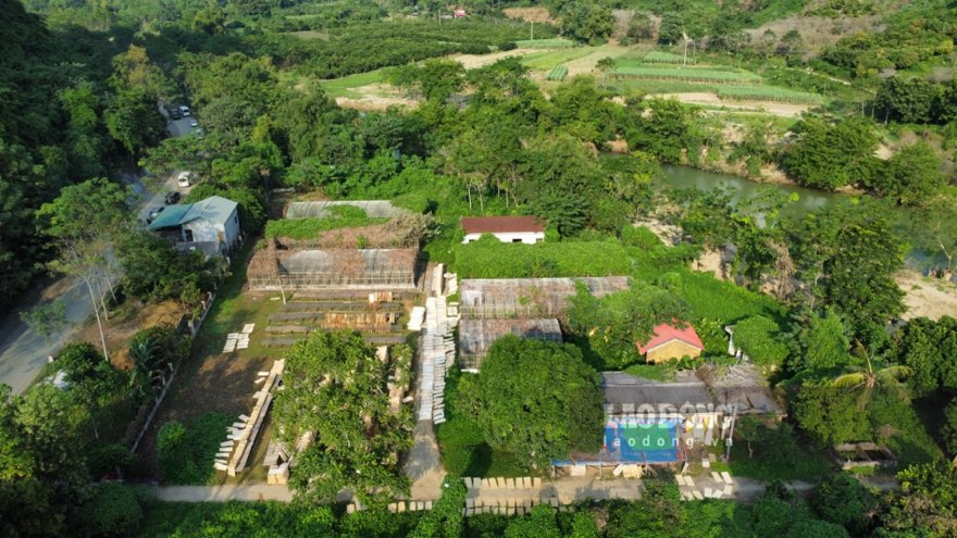 “De tranh bo hoang lang phi thi khu vuc nay dang duoc quy hoach de lam truong cap 2 cua dia phuong. Viec tap ket van go la khong duoc phep, nguoi dan tu y chuyen ra day. Thoi gian toi chinh quyen dia phuong se nhac nho, co phuong an xu ly“. Anh: Lam Thanh