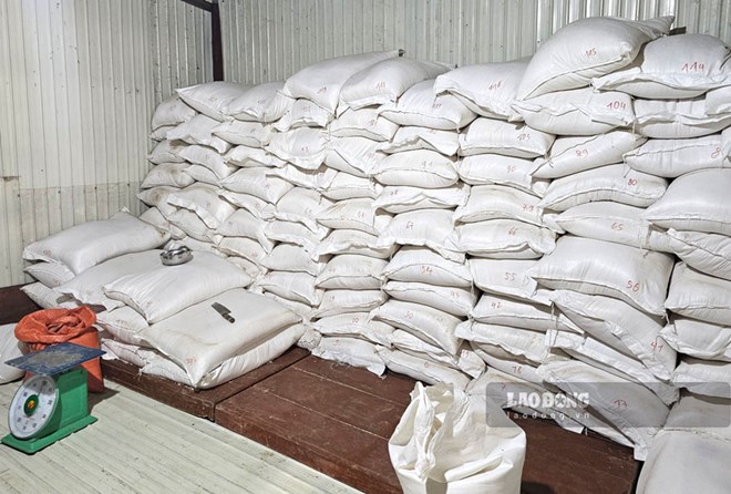 Khanh Hoa province will allocate 89,775 kg of rice to units to support students. Photo: Bao Nguyen