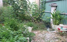 Nhiều người dân vùng ven TPHCM lo lắng khi giá đất tăng