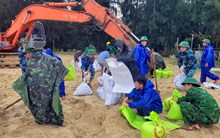 Huế lên phương án di dời hơn 5 vạn dân ứng phó bão Trà Mi