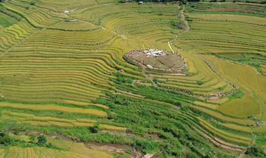 Ruộng bậc thang Miền Đồi - Viên ngọc thô vùng sơn cước chờ tỏa sáng. Ảnh: Đặng Tình