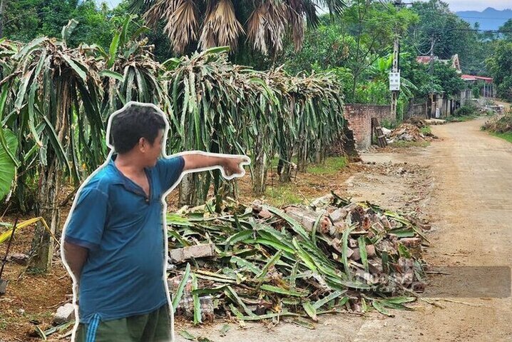Households voluntarily demolished a series of fences, gates, trees... Photo: To Cong