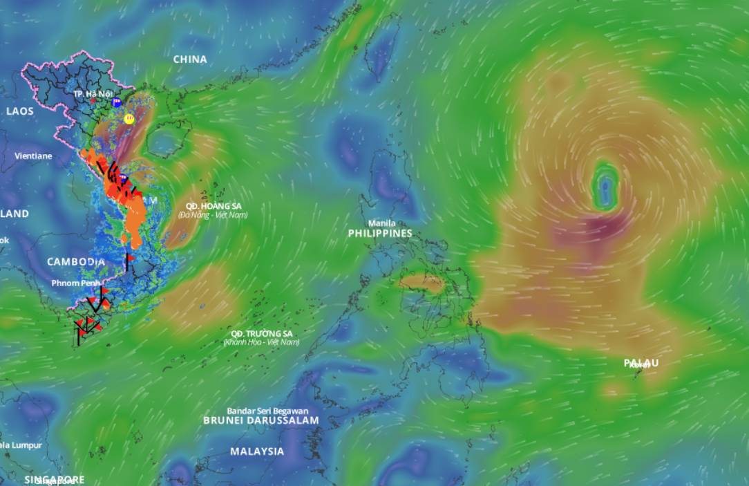 Updated location of storm Tra Mi at 11am on October 27. Photo: Vietnam Disaster Monitoring System