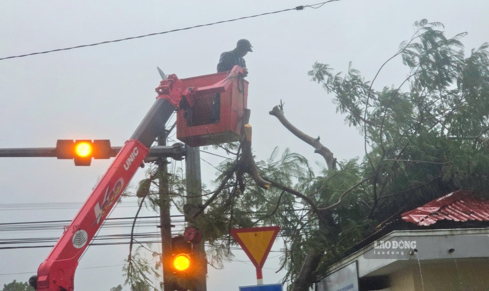 Tai cac tuyen duong xung quanh Hoang thanh Hue, rat nhieu nhanh cay bi gay, mot so goc cay phuong lon bi bat goc, do nga ra duong. Hien luc luong chuc nang TP Hue dang tien hanh don dep nhung vi tri co cay do nga.