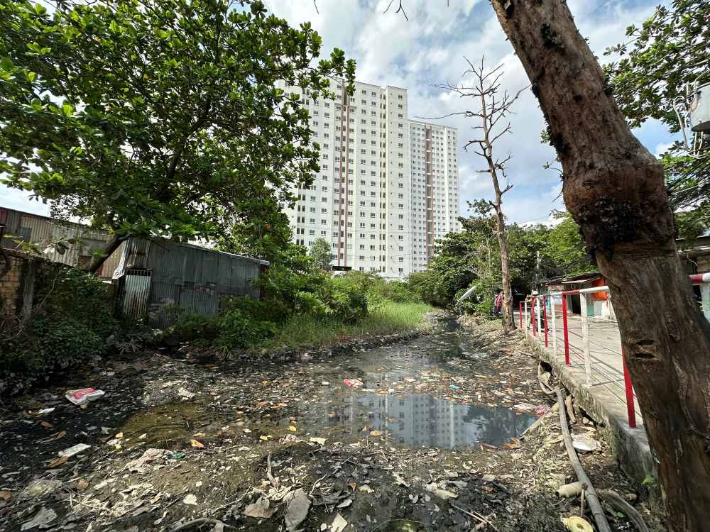 Dự án khu công viên văn hóa - du lịch - thể thao (9,6ha), chủ đầu tư bồi thường, hỗ trợ chậm tiến độ, mới được 22,5% diện tích.