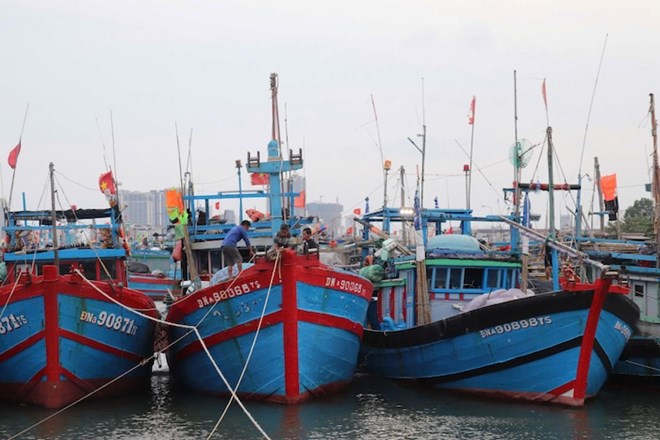 Cac tau thuyen khong roi khoi khu vuc tranh tru bao tai Au thuyen Tho Quang thoi diem truoc, trong va sau bao. Anh: Nguyen Linh