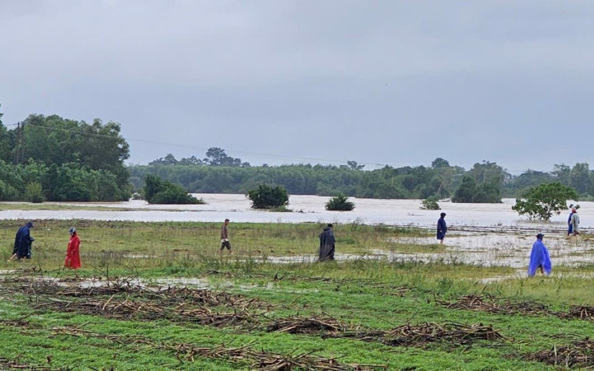 People search for crickets as floodwaters rise, inundating some locations along the Hieu River. Photo: H.Tho.