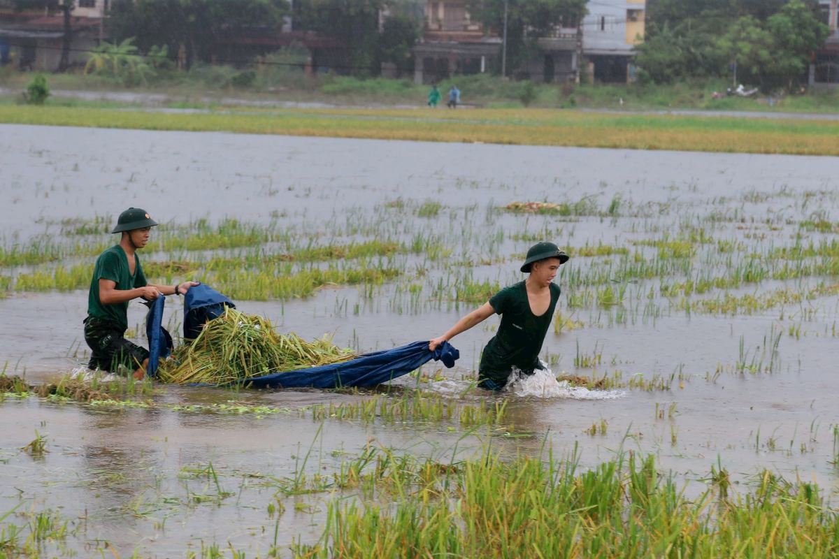 Cac chien si Truong Quan su Bo Tu lenh Thu do Ha Noi dam minh trong mua bao de gat lua giup dan. Anh: Hien Phuong