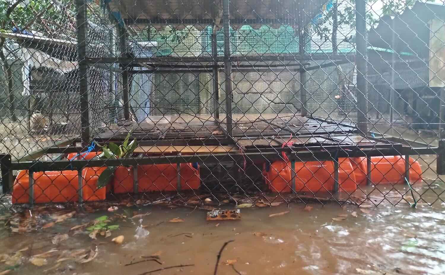 Many places in Le Thuy district were flooded. Photo: T. Mau