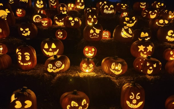 Den long bi ngo Halloween xuat phat tu truyen thuyet cua Ireland. Anh: Jack O' Lantern World