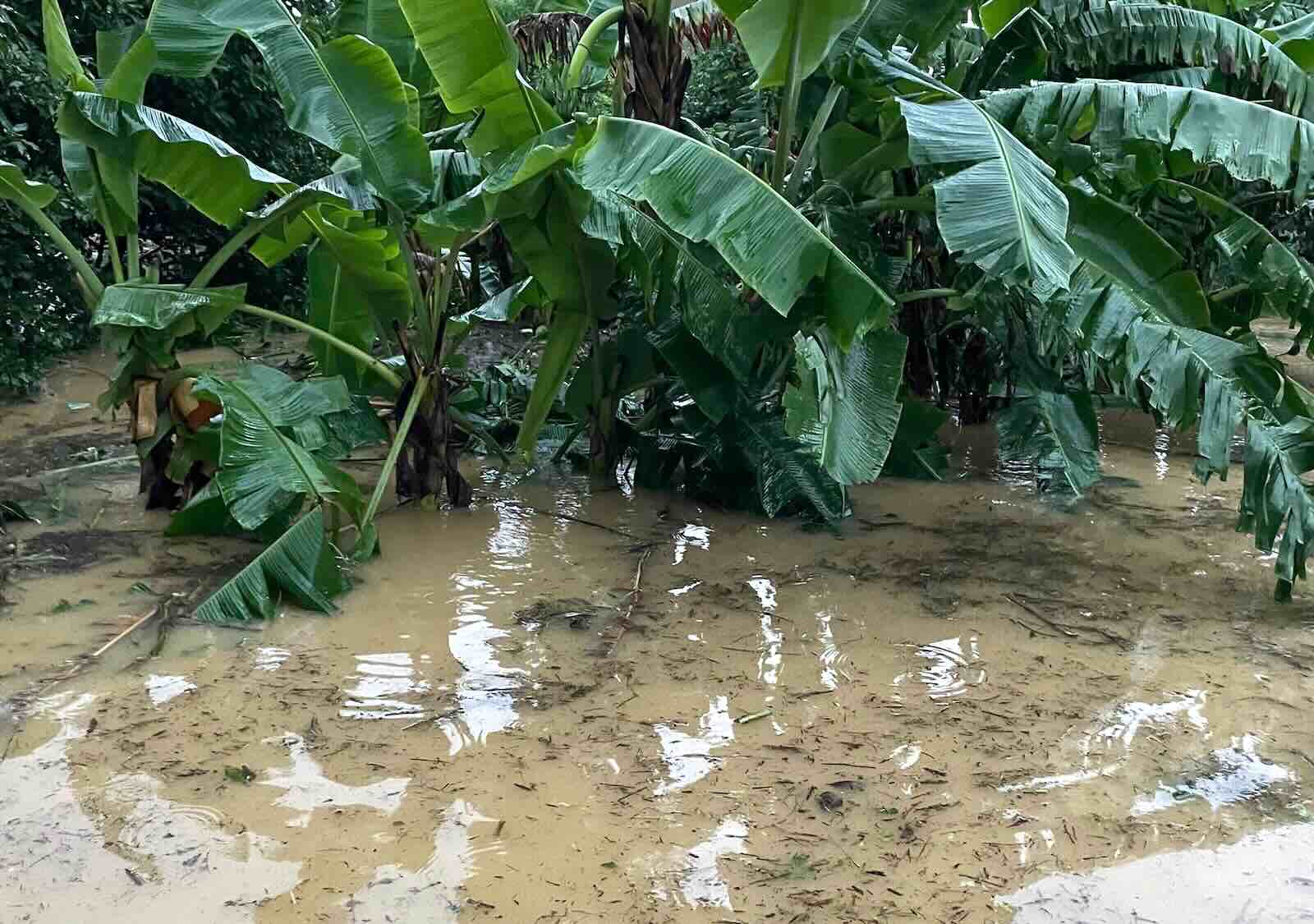 Flooding in Le Thuy district caused Mr. Hon to be swept away by water. His body was handed over to his family for funeral arrangements. Photo: Nguyen Lien