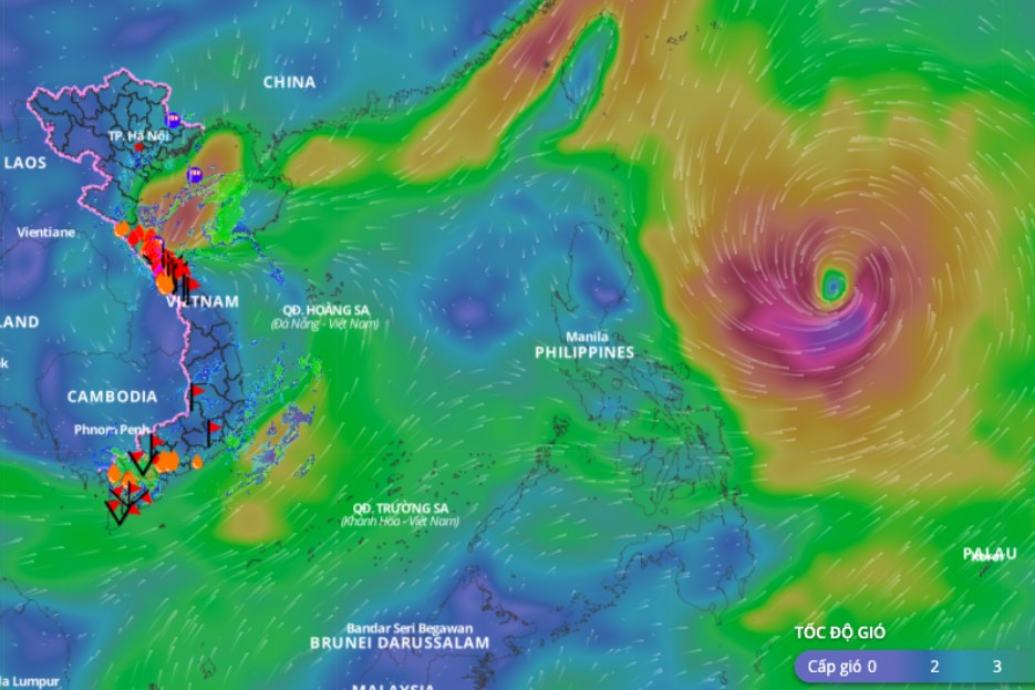 Cold air causes widespread bad weather at sea. Above is the wind direction layer at 11am on October 28. Source: Vietnam Disaster Monitoring System