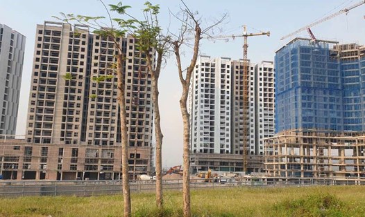 Dự án nhà ở xã hội đầu tiên của Quảng Ninh tại TP Hạ Long. Ảnh: Nguyễn Hùng