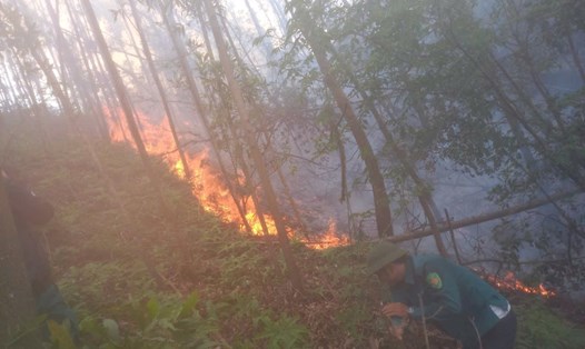 Một đám cháy rừng bất ngờ xảy ra tại xã Lê Ninh, thị xã Kinh Môn, tỉnh Hải Dương.