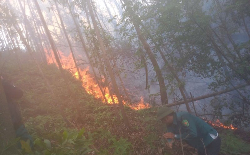 A forest fire suddenly broke out in Le Ninh commune, Kinh Mon town, Hai Duong province.