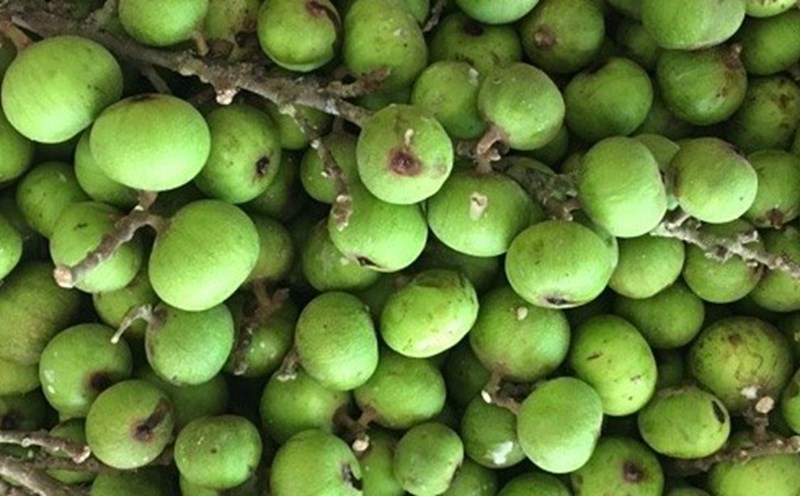 Thanks to their fiber, antioxidants and beneficial natural compounds, figs help maintain stable blood sugar levels and protect cells from damage. Photo: Pham My.