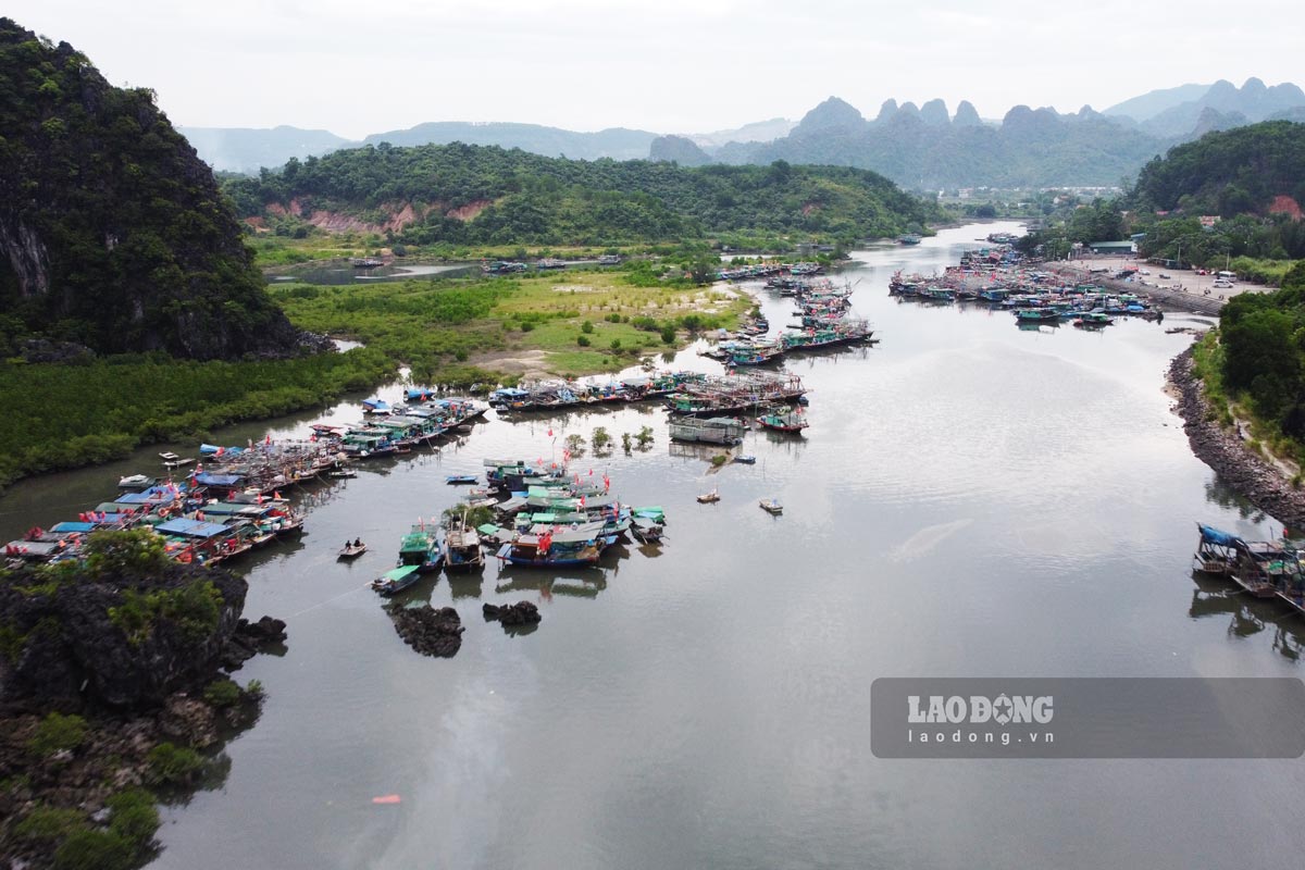 Panoramic view of Cai Xa Cong anchorage point, Ha Phong ward, Ha Long city, Quang Ninh province (where the Hon Gai fishing port project is being implemented). Photo: Doan Hung