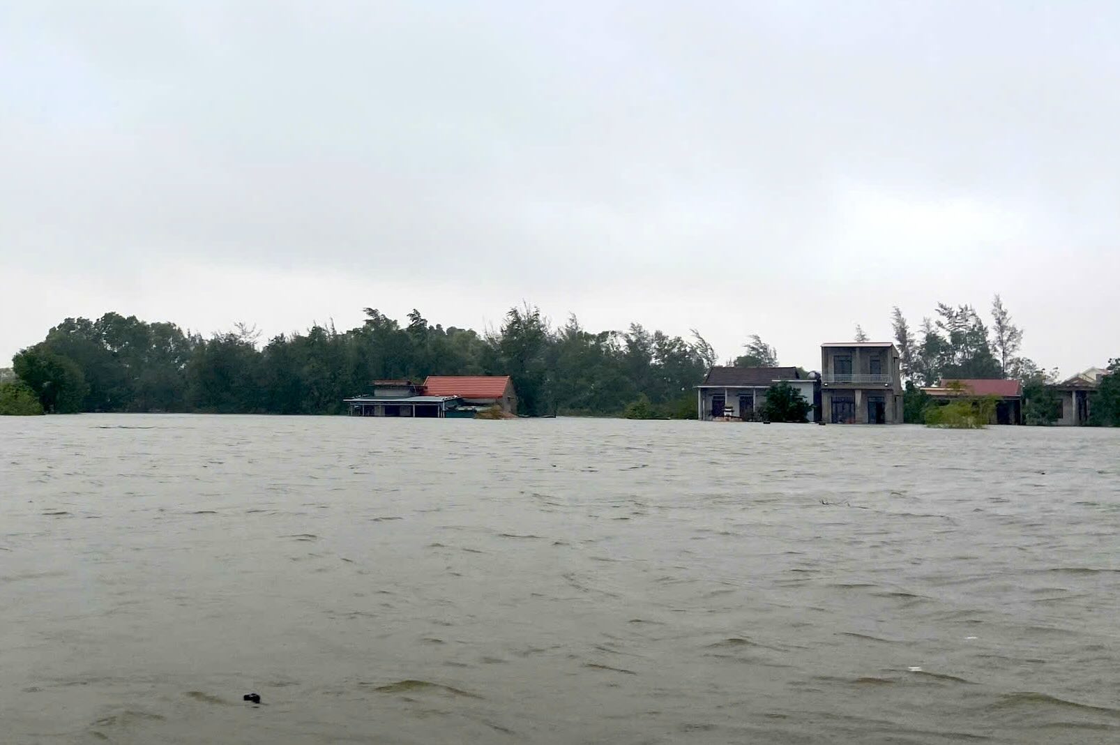 Rising water levels swept away a man in Quang Ninh district (Quang Binh) and he is missing. Photo: T. Tri
