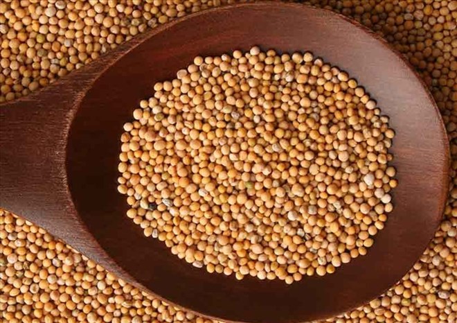 Mustard seeds have many health benefits, including helping to lose weight effectively. Photo: Stylecraze