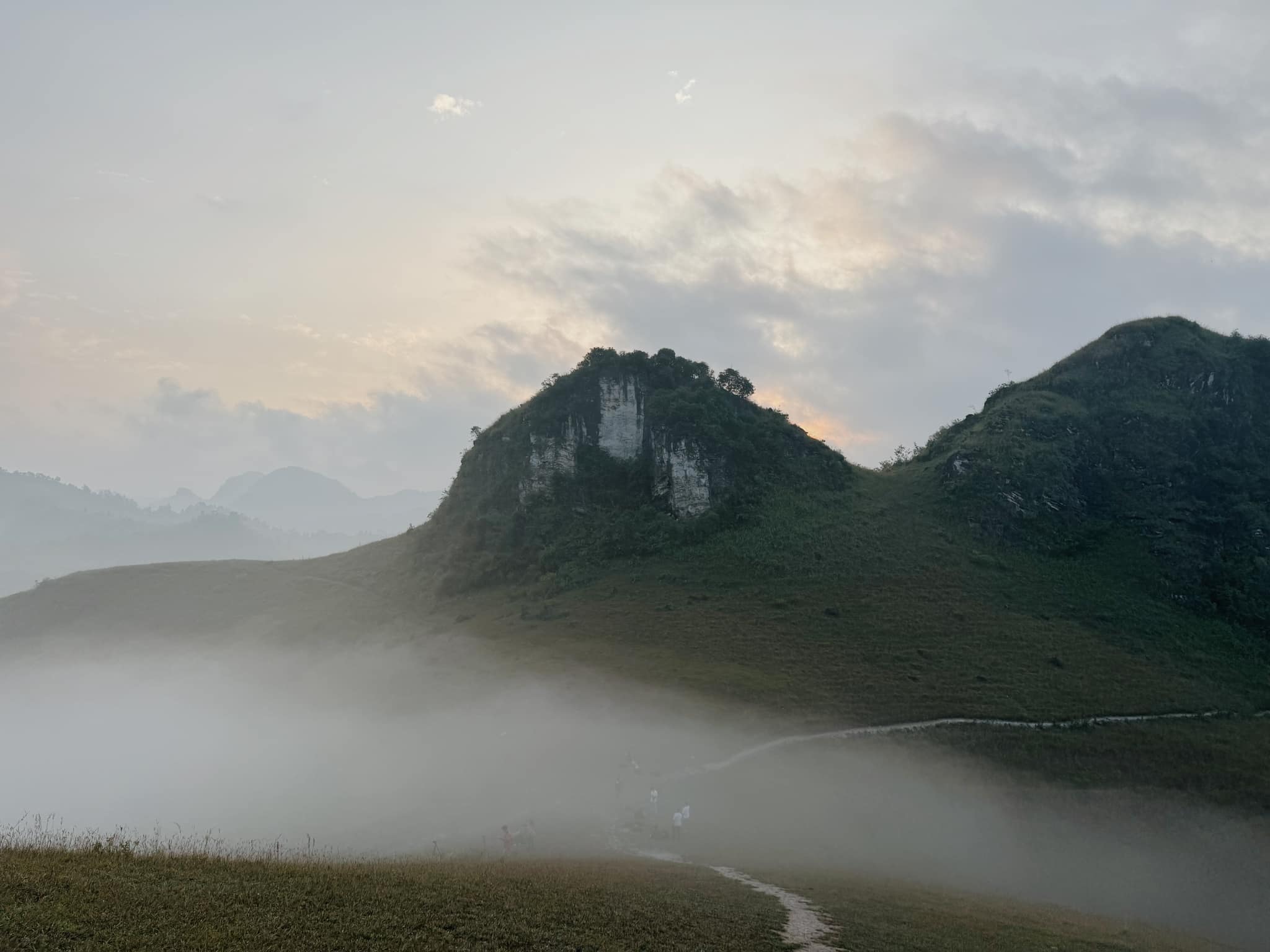 Nam giua xom Khum Din va Bac Vong thuoc xa Vinh Quy, huyen Ha Lang, tinh Cao Bang, nhung bai co chay vang cam trai dai tit tap, vua hoang so vua lang man thu hut vo so khach du lich cung nhu gioi me nhiep anh vao khoang thoi gian tu thang 10 – thang 1 nam sau. Anh: NVCC